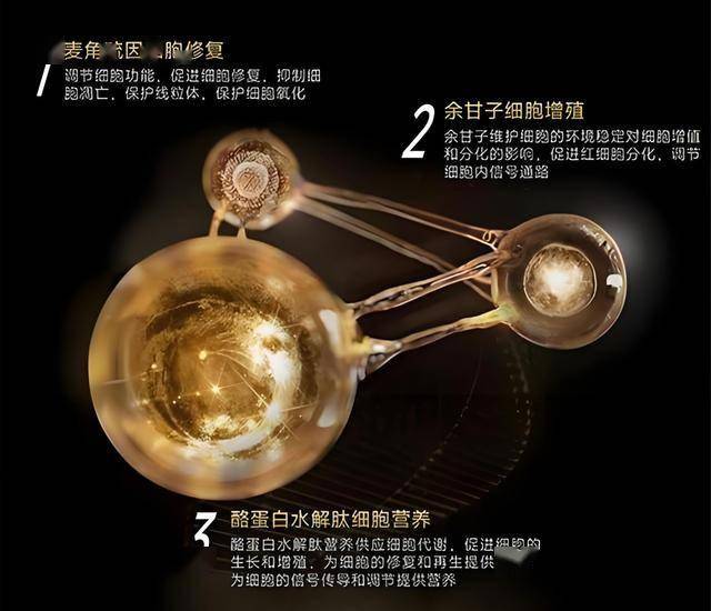 这个股票交易技巧，95%的人还在摸索中！
